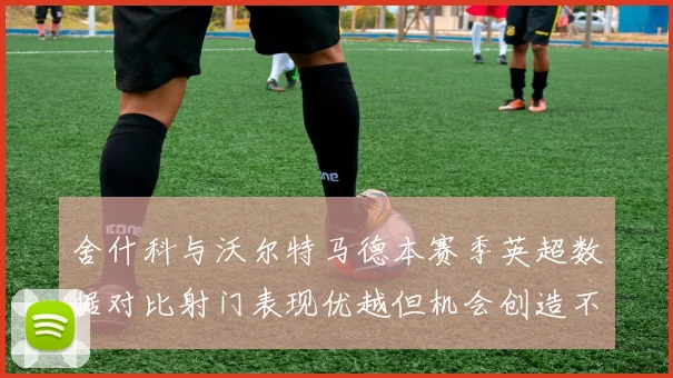 舍什科与沃尔特马德本赛季英超数据对比射门表现优越但机会创造不足