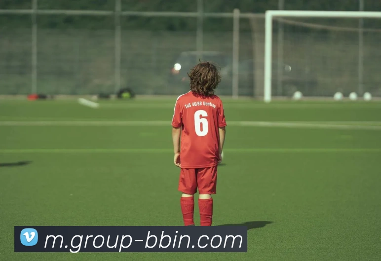 BBIN体育平台生态图